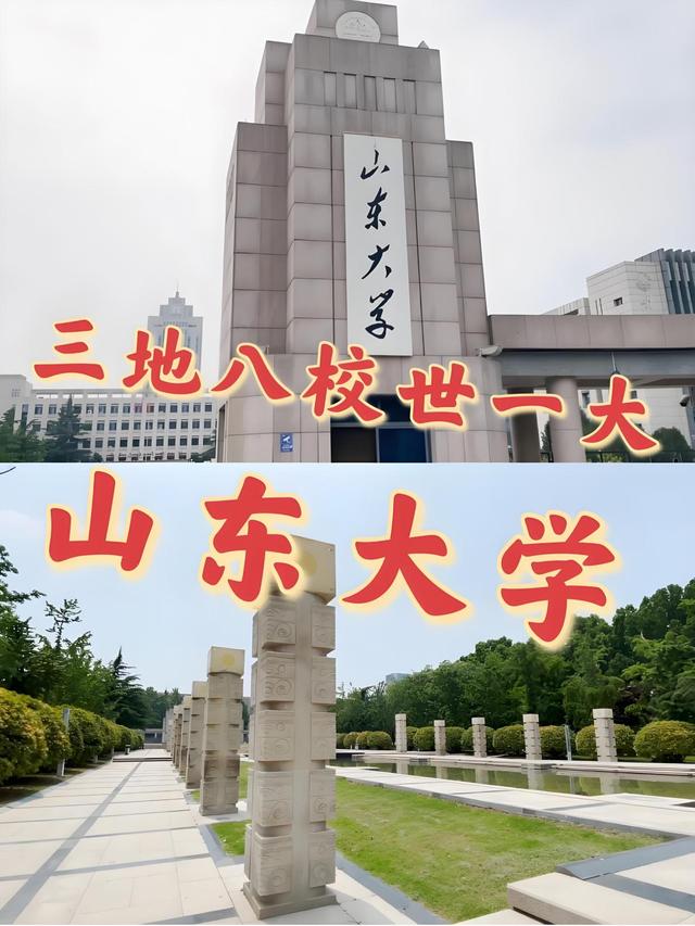 山东大学(山东大学教授京东金融遭遇)