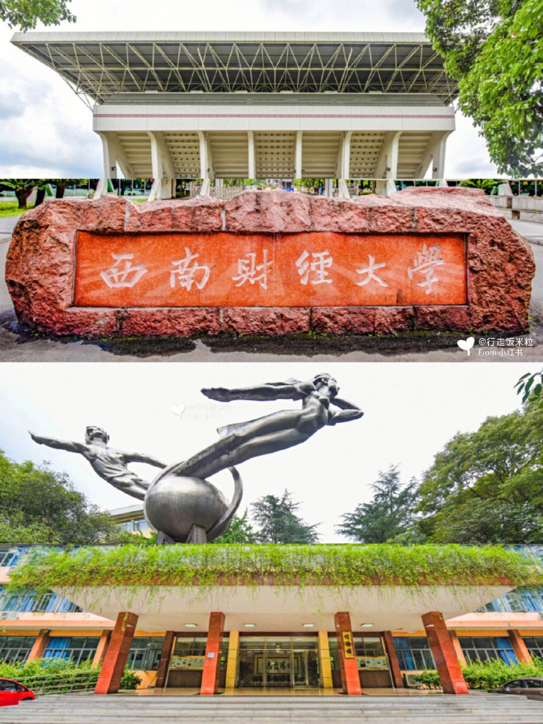 西南财经大学(西南财经大学官网)