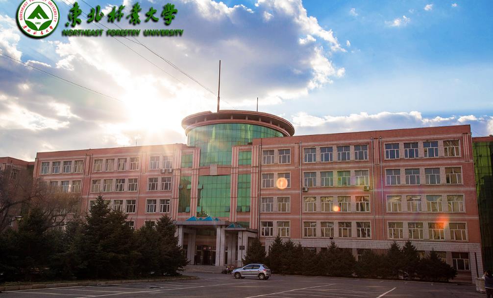 东北林业大学二学历