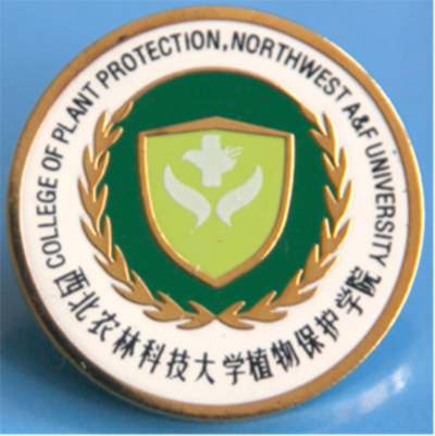 西北农林科技大学文凭报考条件