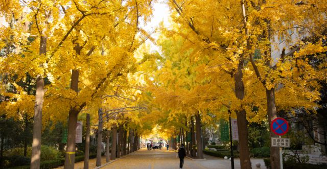 北京林业大学研究生院