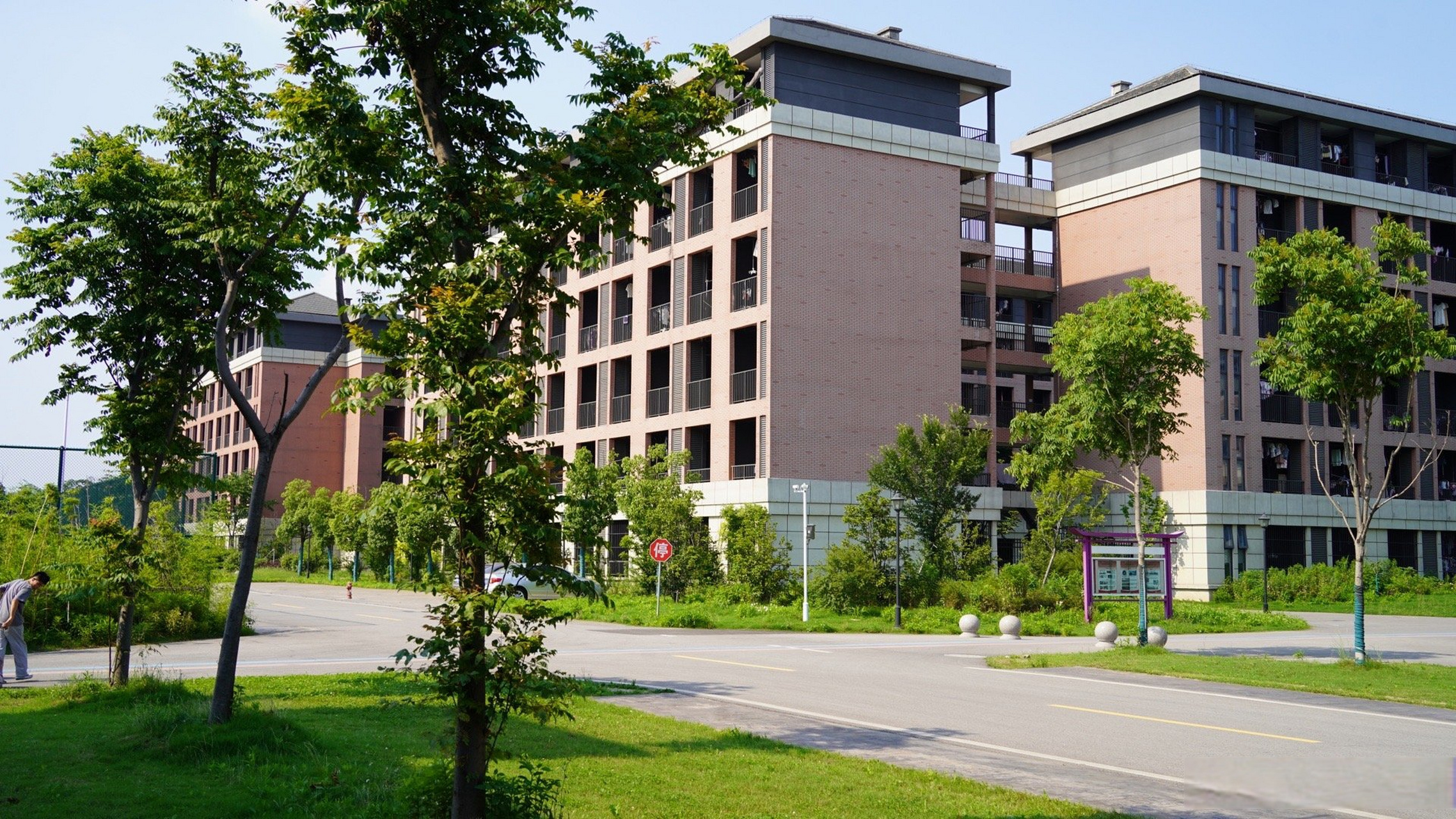 南京理工大学全国排名