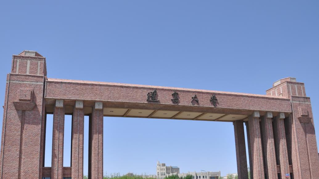 辽宁大学王牌专业