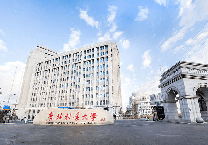 东北林业大学在哪个城市