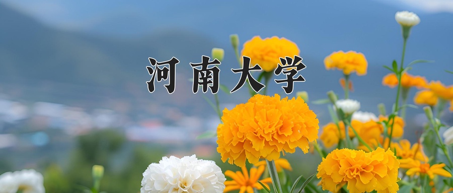 河南大学是211吗