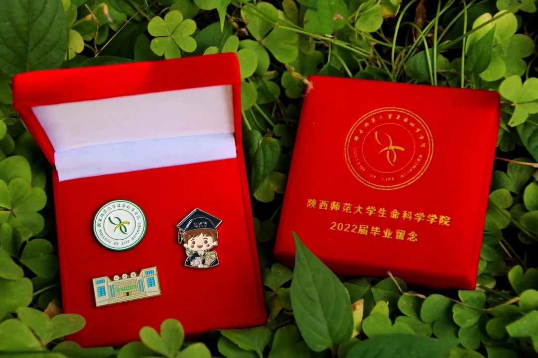 西北师范大学专升本官网