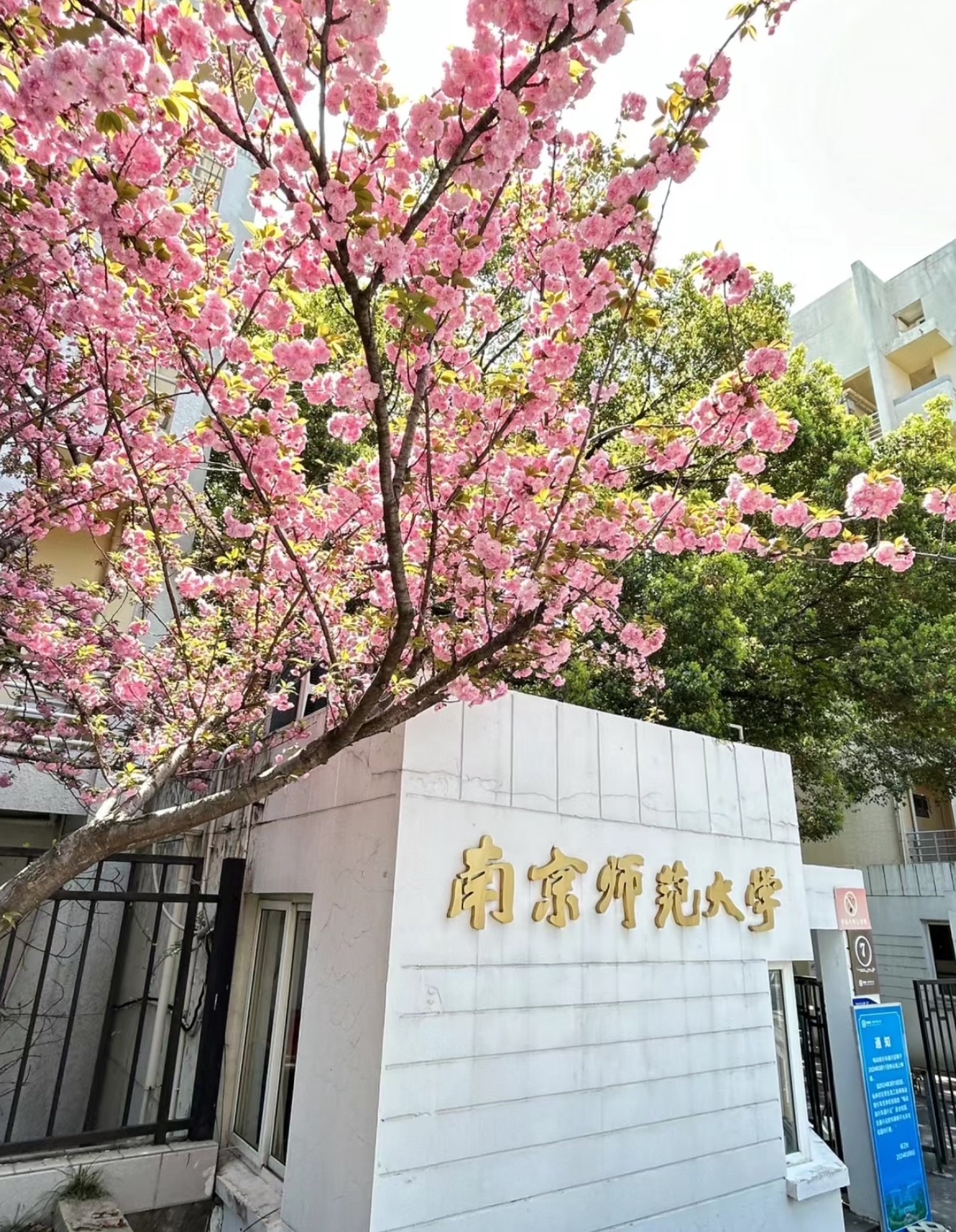 南京师范大学法学院
